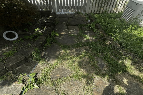 Vergil's Lawn & Landscaping 